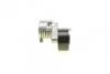 Натяжник ременя генератора BMW 5 (F10/F11)/X3 (F25) 2.0-3.0i 09-13 (70x32) SNR (opt-om) SNR NTN GA350.94 (фото 4)
