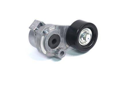 Натяжний ролик, полікліновий ремінь OPEL 55556090 (NTN-SNR) SNR NTN GA353.65