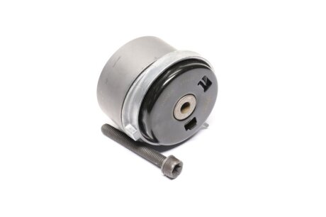 Натяжний ролик, ремінь ГРМ CHEVROLET (NTN-SNR) SNR NTN GT353.32