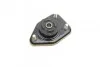 Подушка амортизатора (заднього) BMW X3 (E83) 2.0-3.0i/2.0d 03-11 M47/M57/N46/N47/N52 SNR (opt-om) SNR NTN KB950.17 (фото 5)