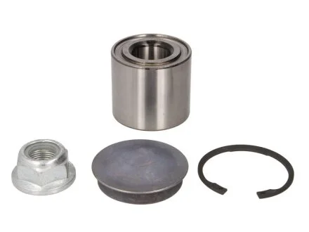 Підшипник маточини (задньої) Renault Megane II (25x55x48) SNR (opt-om) SNR NTN R155.78