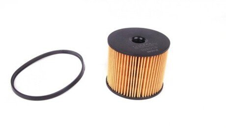 Фільтр паливний Fiat Scudo 2.0 HDI (opt-om) Solgy 102013