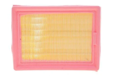 Елемент фільтруючий очищення повітря SOLGY Solgy 103132