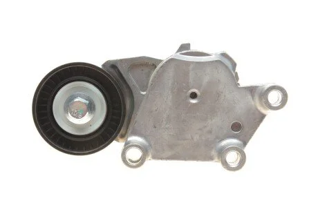Натяжник ременя генератора SOLGY Solgy 110022