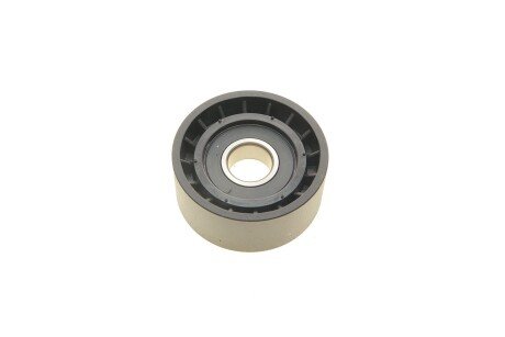 Ролик генератора Renault Trafic/Opel Vivaro 01- (паразитний) (60x25.5) підшипник SNR (opt-om) Solgy 110195