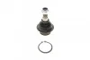 Опора шаровая (передняя) Ford Transit/Connect 1.8-3.2TDCi 00- SOLGY UA63 Solgy 203034 (фото 1)