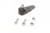 Опора кульова (передня) Renault Kangoo 1.5dCi 98- SOLGY UA63 Solgy 203045 (фото 1)