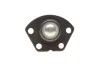 Опора кульова (передня/знизу) Fiat Ducato/Peugeot Boxer (1.8t) 02-06 SOLGY UA63 Solgy 203061 (фото 3)