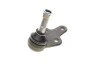 Опора кульова (передня/знизу) Ford Focus II 1.4-2.0TDCi 04-12/C-Max 07-10/Volvo C30/C70/S40 -02/06 UA63 Solgy 203091 (фото 8)