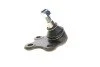 Опора кульова (передня/знизу/L) Audi A1 10-/Seat Ibiza 02-15/Skoda Fabia 99-14/Rapid 12-/VW Polo 0 UA63 Solgy 203119 (фото 8)