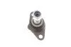 Опора кульова (передня/знизу) BMW X3 (E83) 03-11 SOLGY (opt-om) Solgy 203129 (фото 8)