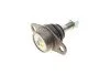 Опора кульова (передня/знизу) BMW 3 (E90/E91/E92) 05-13/X1 (E84) 09-15 SOLGY UA63 Solgy 203130 (фото 4)