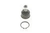 Опора кульова (передня/знизу) Hyundai Santa Fe I/II 00-/Kia Sorento II 02- SOLGY UA63 Solgy 203141 (фото 1)