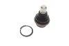 Опора кульова (передня/знизу) Nissan Navara/Pathfinder 04-14 SOLGY (opt-om) Solgy 203156 (фото 1)