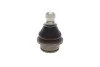 Опора кульова (передня/знизу) Nissan Navara/Pathfinder 04-14 SOLGY (opt-om) Solgy 203156 (фото 7)