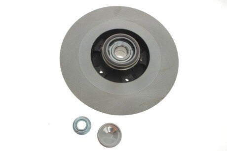 Диск гальмівний (задній) Renault Scenic III 2.0dCi 09- (290х11) (+ABS) (з підшипником) (opt-om) Solgy 208037