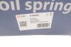 Пружина (задня) MB Vito (W639) 03- (з пост. діам.) (opt-om) Solgy 212003 (фото 3)