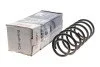 Пружина (передня) VW Passat 1.6/1.8/1.9TD/TDI/2.0 92-96 (седан/унив)/Golf IV 1.9TDI 97-05 (ун/накл UA63 Solgy 212014 (фото 4)