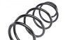 Пружина (передня) Renault Megane II 1.4-1.6 03-09 (opt-om) Solgy 212023 (фото 2)