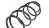 Пружина (передня) Renault Megane II 1.4-1.6 03-09 SOLGY (opt-om) Solgy 212023 (фото 2)