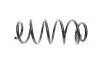 Пружина (передня) VW Caddy III 1.4-2.0i 04-15 SOLGY (opt-om) Solgy 212033 (фото 1)