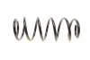 Пружина (передня) VW Caddy III 1.9TDI/2.0TDI 04-15 (фургон/універсал) SOLGY (opt-om) Solgy 212040 (фото 5)