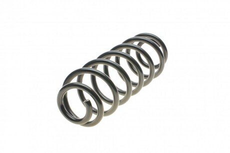 Пружина (задня) VW Passat (3C2/3C5) 05-10 (седан/універсал)/Tiguan 2.0TDI/TSI/TFSI 4motion 07- (opt-om) Solgy 212046