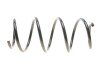 Пружина подвески Solgy 212063 (фото 6)
