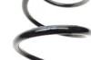 Пружина (передня) Dacia Duster 1.5dCi/1.5dCi 4x4 10-18/Renault Duster 1.5dCi 4x4 11- SOLGY (opt-om) Solgy 212071 (фото 4)