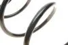Пружина (передня) Renault Scenic II/Grand Scenic II 1.9dCi/2.0dCi 03-09 (вен) SOLGY (opt-om) Solgy 212087 (фото 4)
