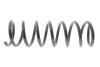 Пружина підвіски Solgy 212123 (фото 1)