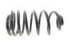 Пружина подвески Solgy 212138 (фото 1)