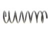 Пружина підвіски Solgy 212139 (фото 1)