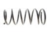Пружина подвески Solgy 212146 (фото 1)