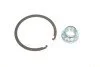 Подшипник ступицы (передней) Toyota Camry 96-06/Lexus RX300 03-08 (к-кт) SOLGY UA63 Solgy 216196 (фото 2)