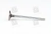 Клапан впускний (вир-во SsangYong) C.I.U SSANGYONG 6650530401 (фото 1)