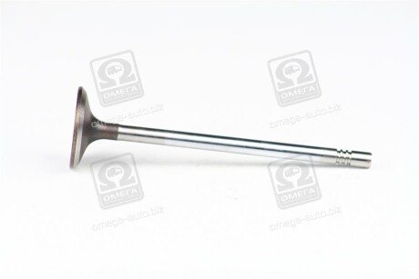 Клапан впускний C.I.U SSANGYONG 6650530401