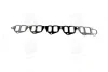 Прокладка впускного колектора Rodius, Kyron, Rexton (вир-во SsangYong) SSANGYONG 6651410580 (фото 1)