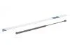Амортизатор кришки багажника Ford Focus 03-07 UA63 STABILUS 012158 (фото 1)