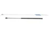 Амортизатор кришки багажника Ford Fusion 1.25/1.4/1.6 TDCi 04-12 (opt-om) STABILUS 012559 (фото 1)