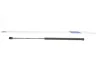 Амортизатор кришки багажника Hyundai Elantra 07-11 (opt-om) STABILUS 042782 (фото 1)