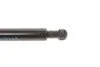 Амортизатор кришки багажника VW Jetta 91-98 (opt-om) STABILUS 0813MK (фото 7)