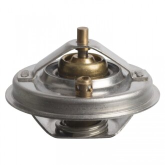 Термостат VW BEETLE, JETTA 2.5 FSI 06- SWAG 30108922