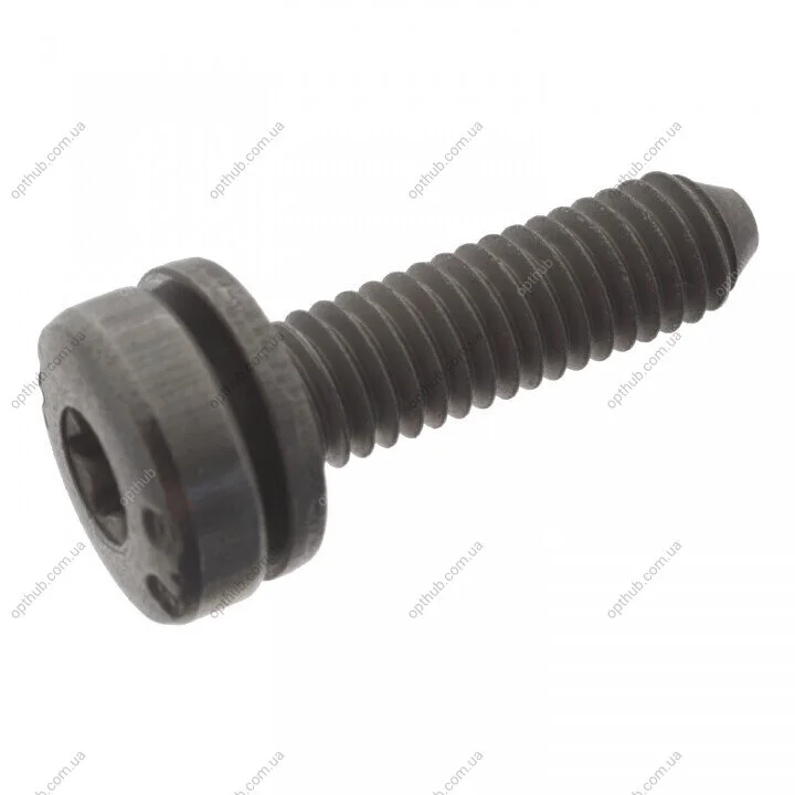Болт з головкою системи TORX (Swag) SWAG 30949401 (фото 1)