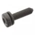 Болт з головкою системи TORX (Swag) SWAG 30949401 (фото 1)