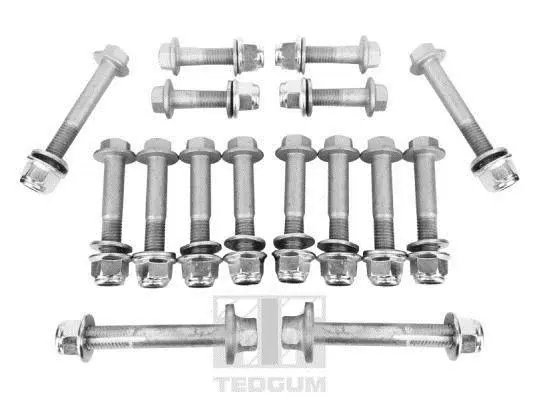 Ремкомплект підвіски (болти, гайки) FORD/VOLVO C-MAX/FOCUS/FOCUS C-MAX/C30/C70 II/S40 II/V50 TEDGUM 00228366 (фото 1)