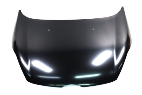 Капот F. FIESTA 09- (вір-во) TEMPEST 023 0753 280