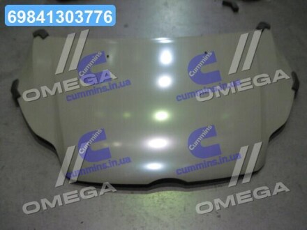 Капіт FORD FOCUS 11-14 TEMPEST 023 1875 280G