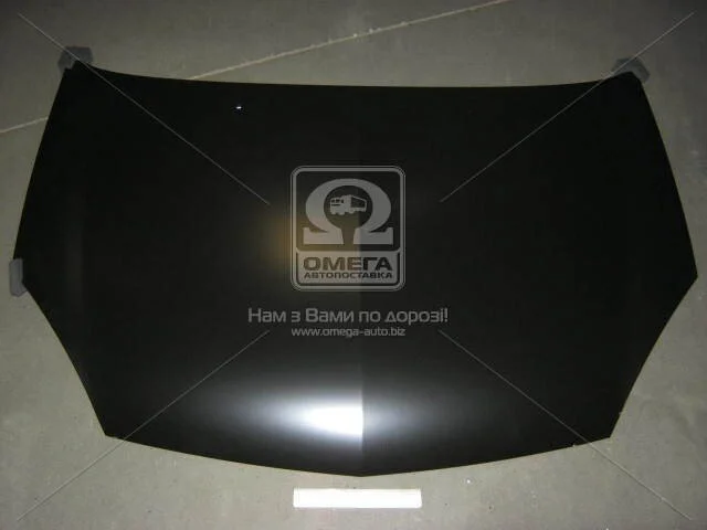 Капот RENAULT CLIO 01-05 (вір-во) TEMPEST 041 0463 280 (фото 1)