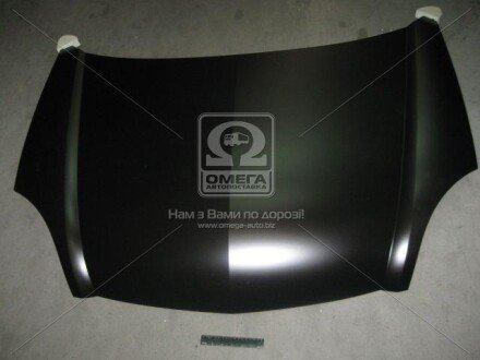 Капот RENAULT KANGOO 03-09 (вір-во) TEMPEST 041 0468 280